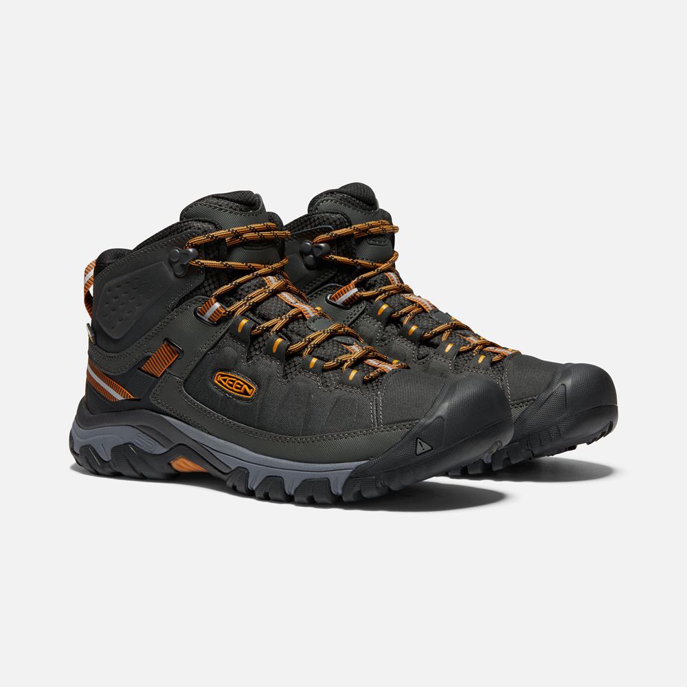 Keen Laarzen Heren Zwart/Goud - Targhee Exp Waterproof Mid - 61804-KBJZ